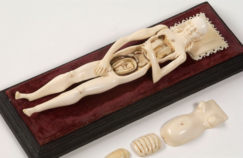 Image of a small ivory model of a woman with removable mid-drift revealing organs and foetus in womb beneath. She lies on red velvet.