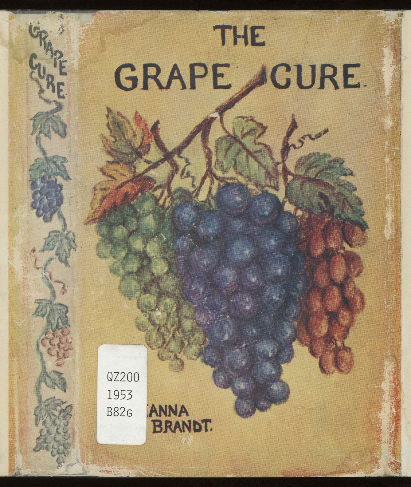Cover of a book, 'The Grape Cure' by Joanna Brandt, featuring an illustration of three bunches of grapes: pale, red and purple.