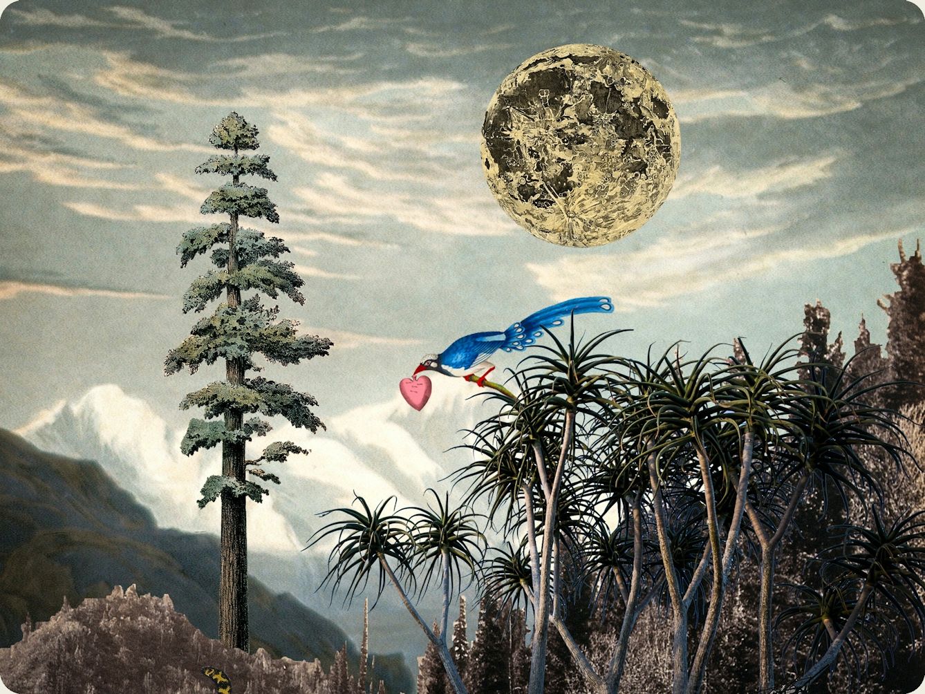Artwork using collage. The collaged elements are made up of archive material which includes vintage and contemporary photographs, etchings, painted illustrations, lithographic prints and line drawings. This artwork depicts a scene with an urban and rural combined background, where high mountains and hills rise in the distance. In the middle distance are a series of tall trees. In the cloud scattered sky above is a large moon like orb. A blue bird sits in a high tree on the right, a pink heart shape in its mouth.