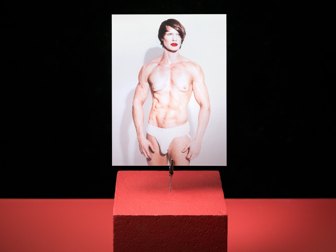 Photograph of a red cube on a red and black background. A crocodile clip is holding a portrait image of a largely naked person with red lipstick and white thong, on a white background.