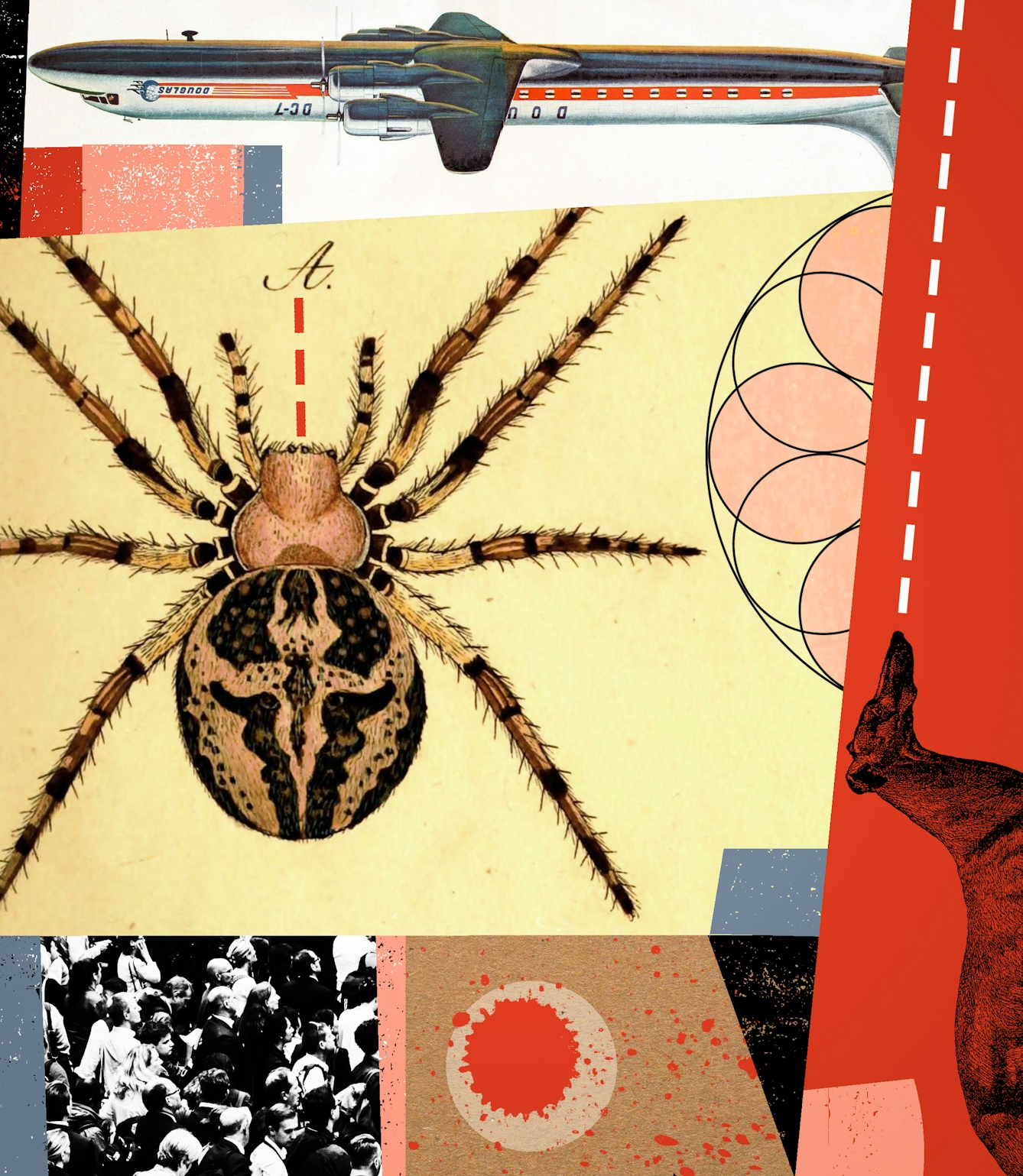 Detail from a larger digital montage artwork made up of archive illustrations, photographs and graphical shapes. The overall hues of the artwork are reds, yellows and blacks. There are a number of references across the artwork including a large spider, an aeroplane flying upside-down, a large crowd, and a dog with a dashed white sightline coming from its head.