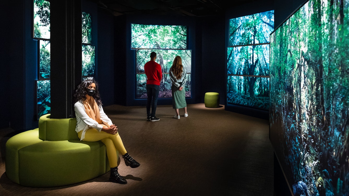 Photograph of a dark exhibition gallery space showing 4 separate large free-standing walls on which photographic prints of large forest scenes are displayed, filling the entire walls. The prints show tall tree trunks, green leaf canopy cover and ground level ferns. To the left of the gallery view is a circular padded green seat which wraps around a vertical iron girder. Sitting cross legged on the seat is a woman with long black hair, a white blouse and yellow leggings. She has an orange shawl around her neck and is wearing a black face covering. She is spotlit from a light almost directly above her. In the distance are two more visitors with their backs to the camera, standing looking at one of the forest scenes. To their right is a small green padded stool.