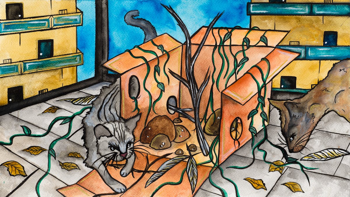 Colourful artwork. The artwork shows a flatpack box which is open on the front facing side, with several holes in it, on a tiled foor. There are tree branches and vines growing up through the box and leaves covering the floor. A grey cat is curled around the box with it's tail curling above the box. A brown cat's head can be seen on the right side of the frame bending towards a vine. In the background of the artwork, there are two yellow multi-story housing blocks with green doors and balconies. 