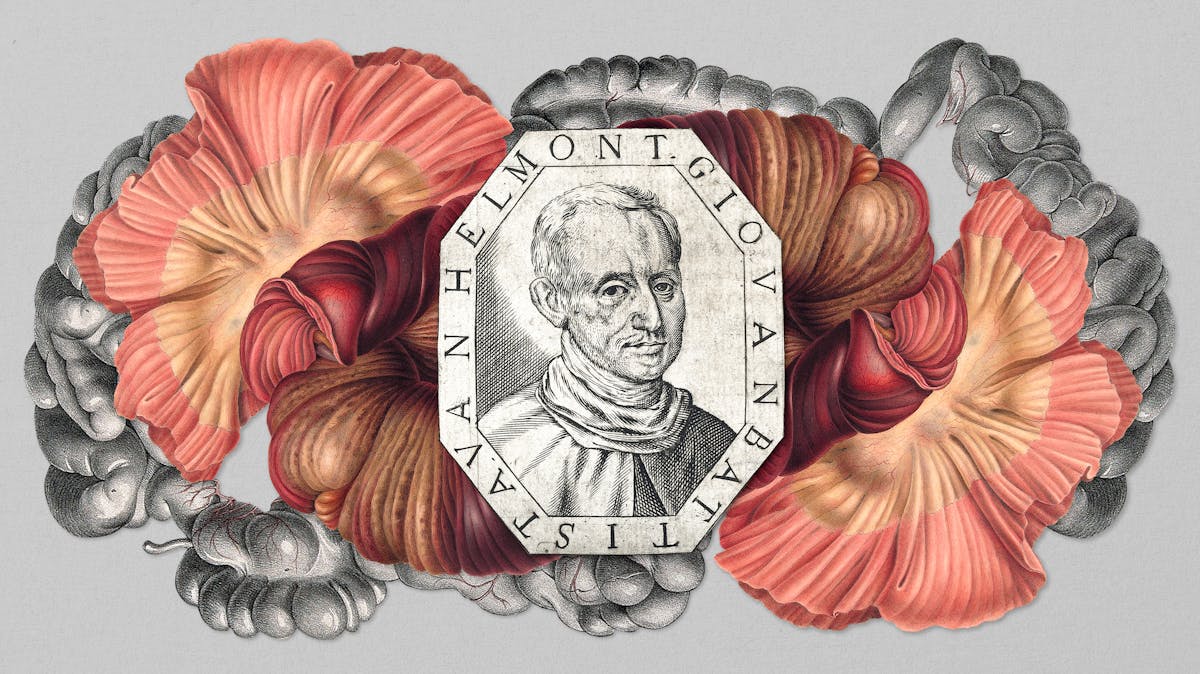 Digital collage of archival material.  In the centre, an etching of the head and shoulders of a man as he looks towards the viewer.  The frame around the head reads “Giovanbattista Van Helmont”.  The lozenge shaped portrait is sitting on an illustration of the gut and intestines.