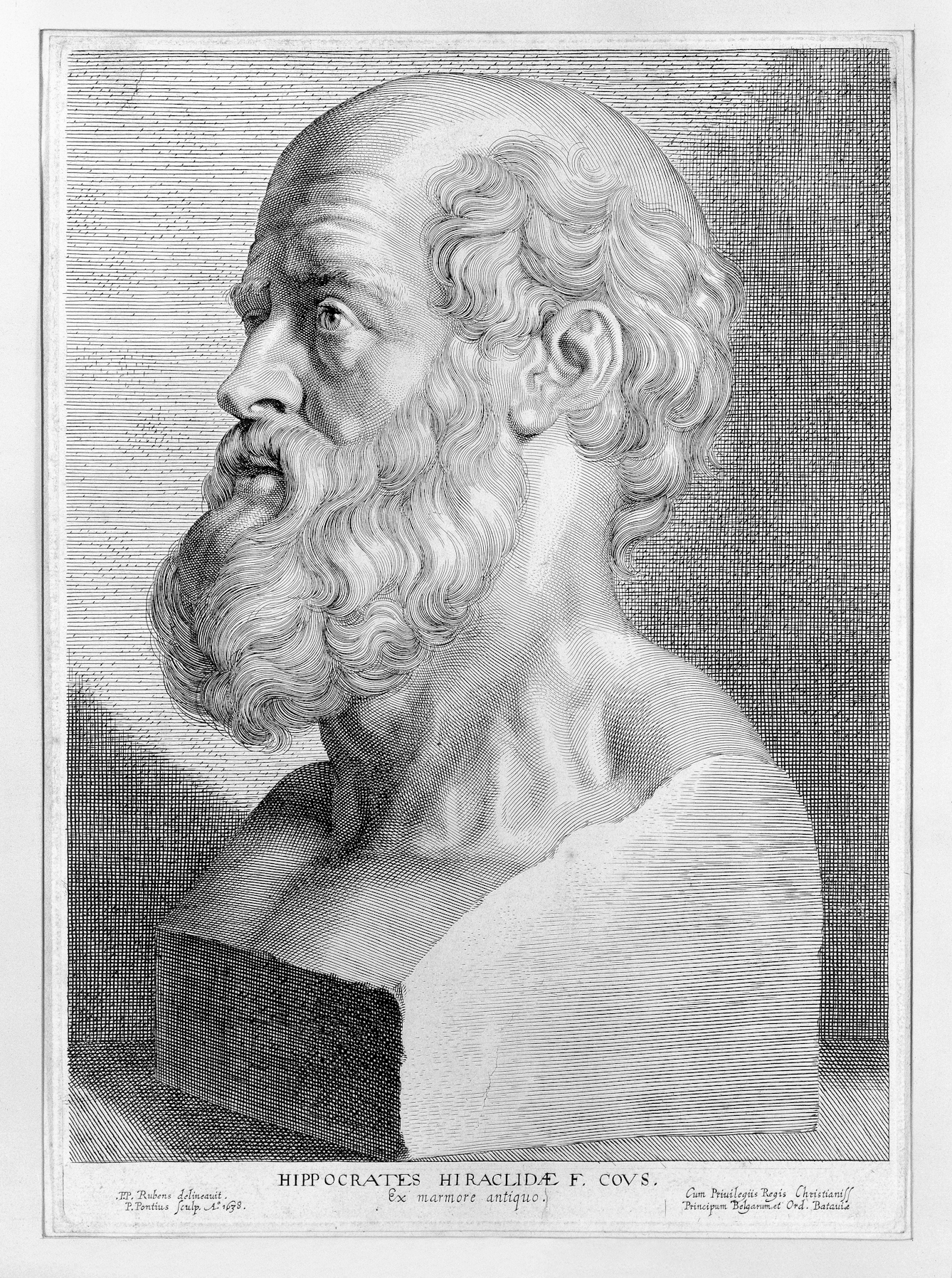Black and white engraving showing the bust of a balding man with a beard.