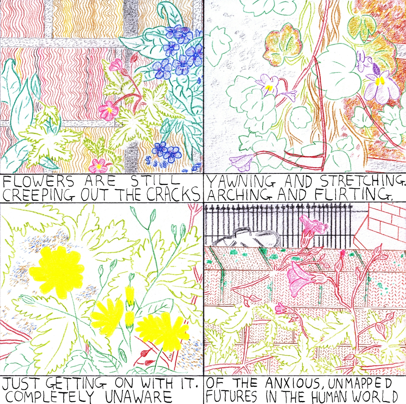 Flowers comic in four frames by Rob Bidder
