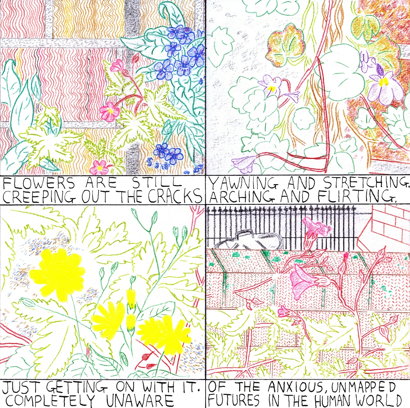 Flowers comic in four frames by Rob Bidder 
