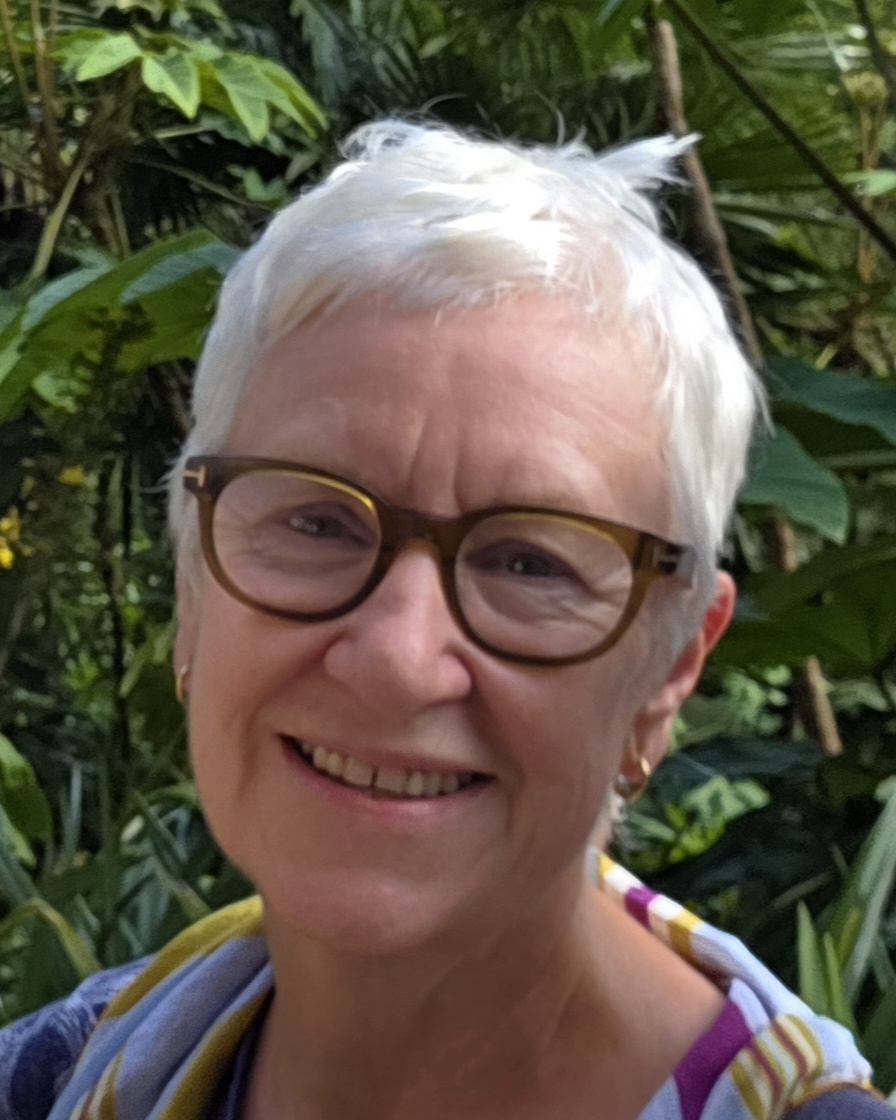 Headshot of Helen Idle with short grey hair, smiling at the camera