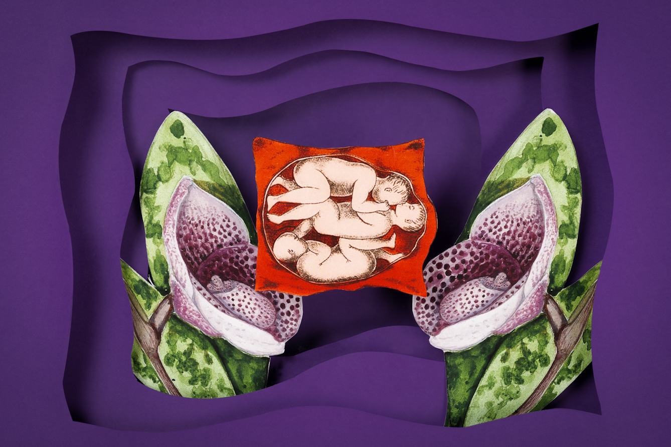 A photograph of a paper craft montage of archive material. Unborn triplet babies are shown floating over two large purple orchids against a purple background that has concentric shadows.