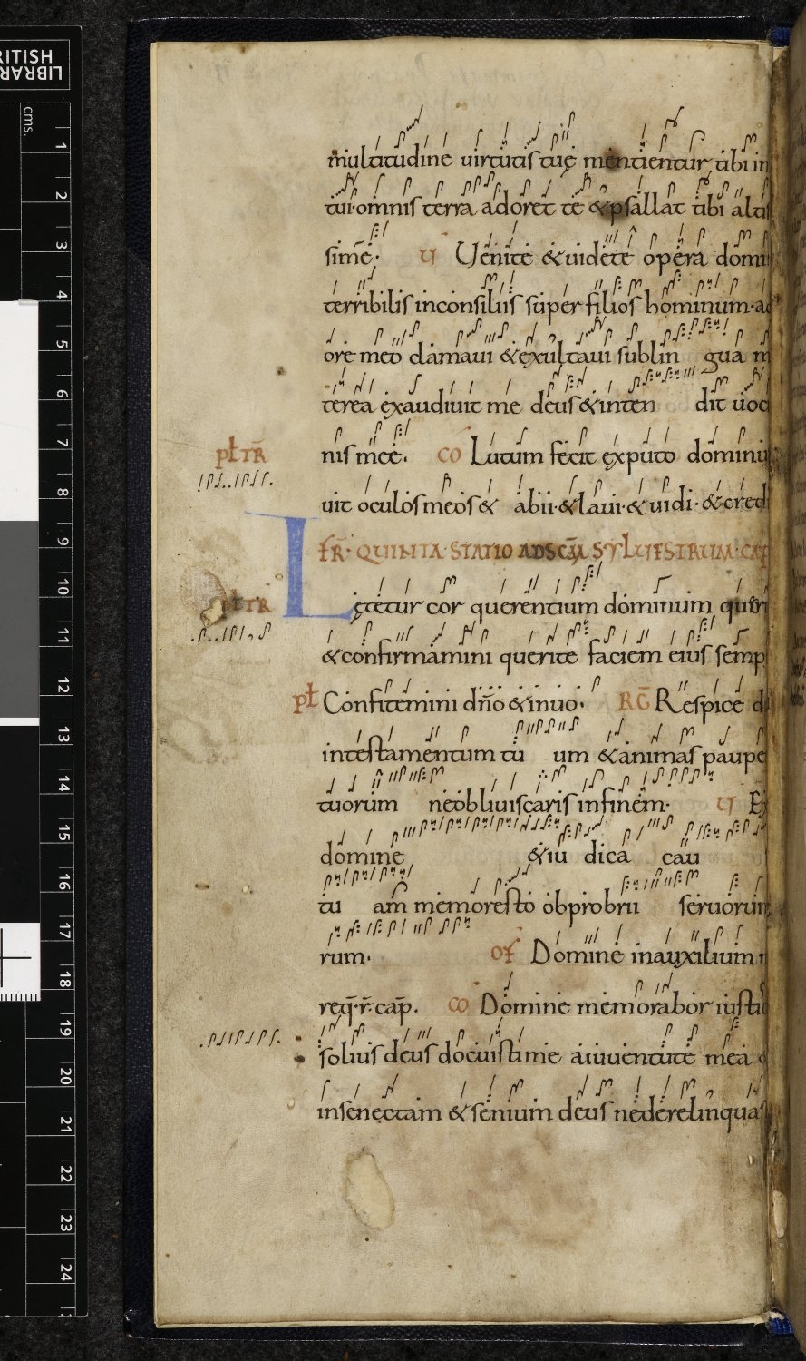 Image of a leaf from a Gradual, written in Latin. It shows an initial and musical notation in Anglo-Saxon neumes. 