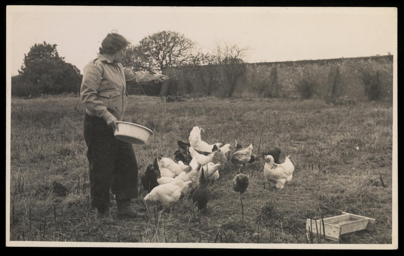 Black and white photograph showing a woman feeding chickens.