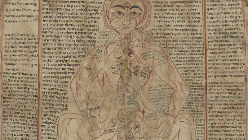 Mapping the body | Wellcome Collection