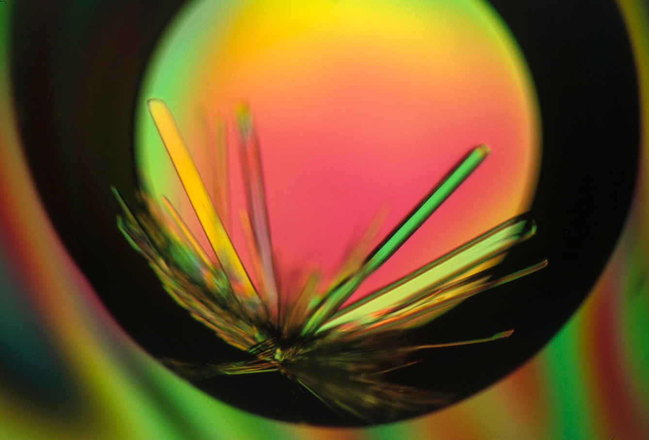 An image generated by a process called X-ray crystallography, the image shows a spiked crystalline formation which appears backlit with multicoloured light.