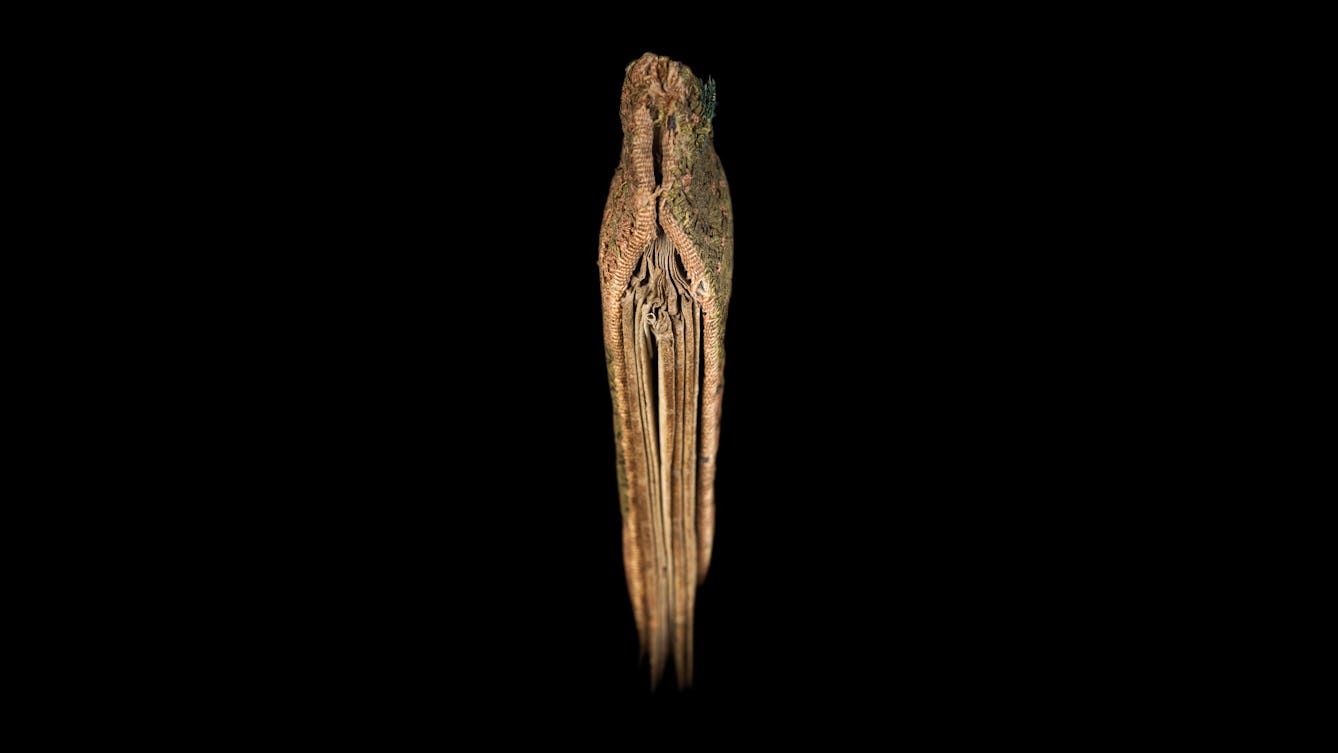 Photograph of a fragile folding almanac from the 15th century. The almanac is spotlit on a black background. It is photographed from the side so that the folded pages in its middle can me seen sandwiched by the covers. It's cover is made of an intricate woven green and pink fabric. The spine where the pages meet, taper into a point.