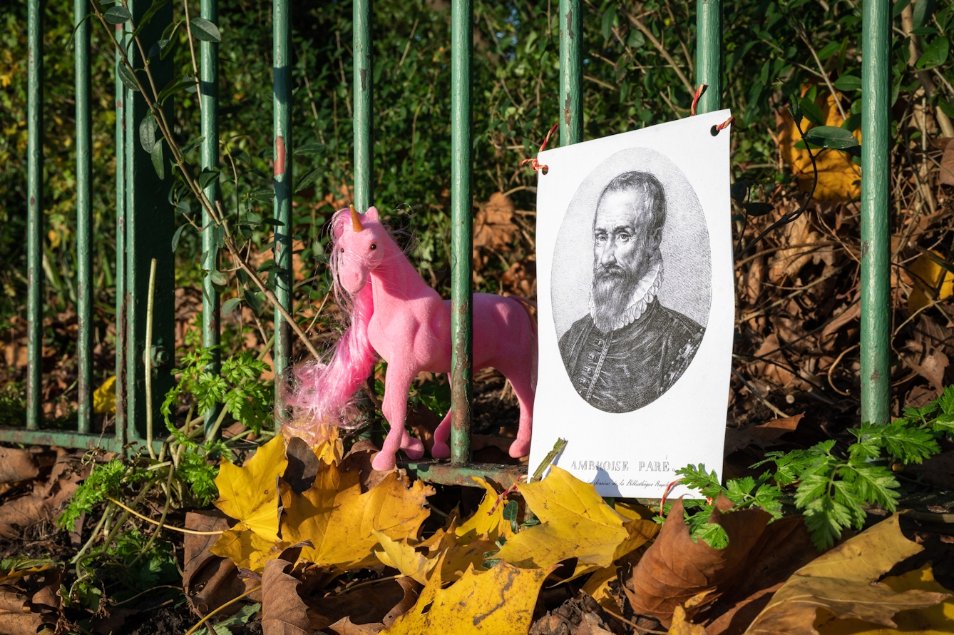 Photograph of a line of green metal railings, fairly closeup, in a park or garden. The railings are surrounded by autumnal leaves on the ground and bush foliage behind. Tied to the railings is a paper poster with a black and white print of a bearded man wearing a ruff, from the 16th century. To the left of the poster a pink plastic unicorn figurine is appearing through the railings.