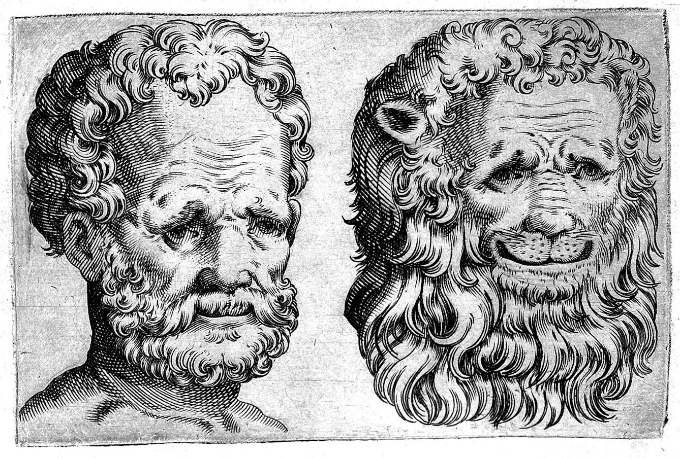 Comparison of man and lion, Giovanni Battista della Porta, ‘De humana physiognomonia’, 1586