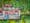Detail from a larger colourful artwork. The artwork shows a grey building with a sign reading 'Diner' attached to the roof. To the right there is a woodland and the grass is green with flowers growing.