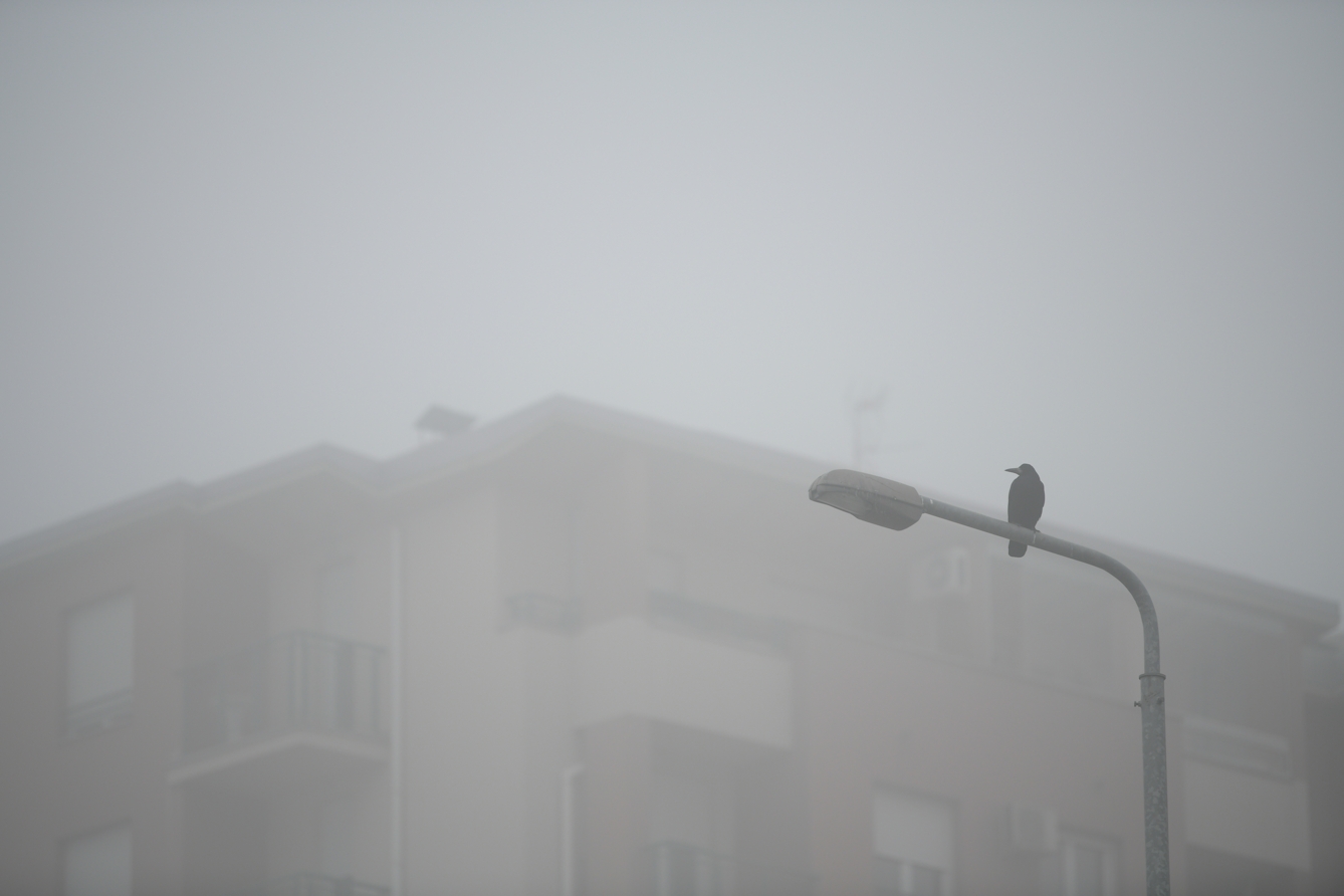 Photograph showing the top of a highrise residential building occluded by mist and fog in the daytime. In the foreground is the top half of a lamppost, which is off, with a bird sitting on it. 