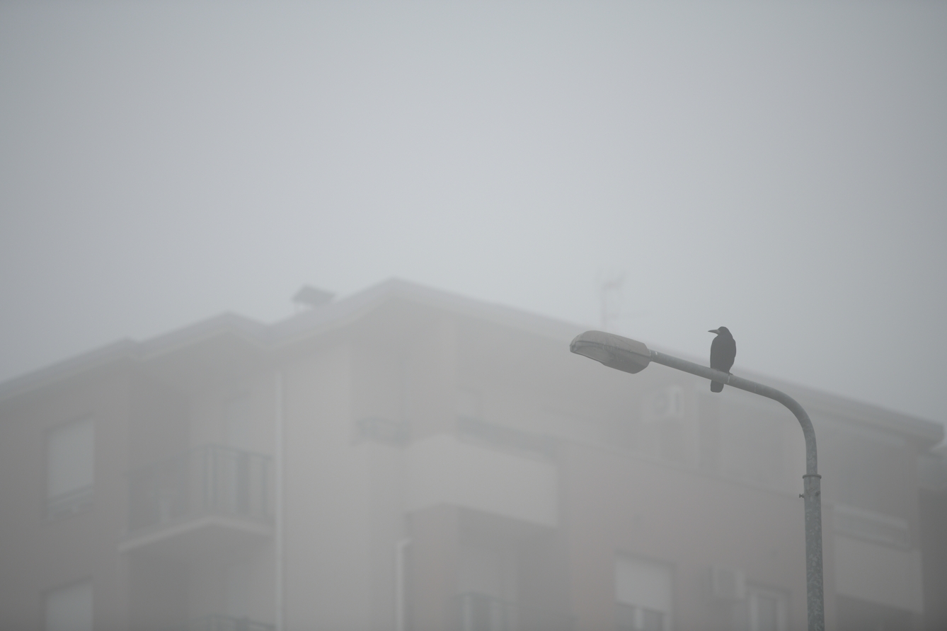 Photograph showing the top of a highrise residential building occluded by mist and fog in the daytime. In the foreground is the top half of a lamppost, which is off, with a bird sitting on it.
