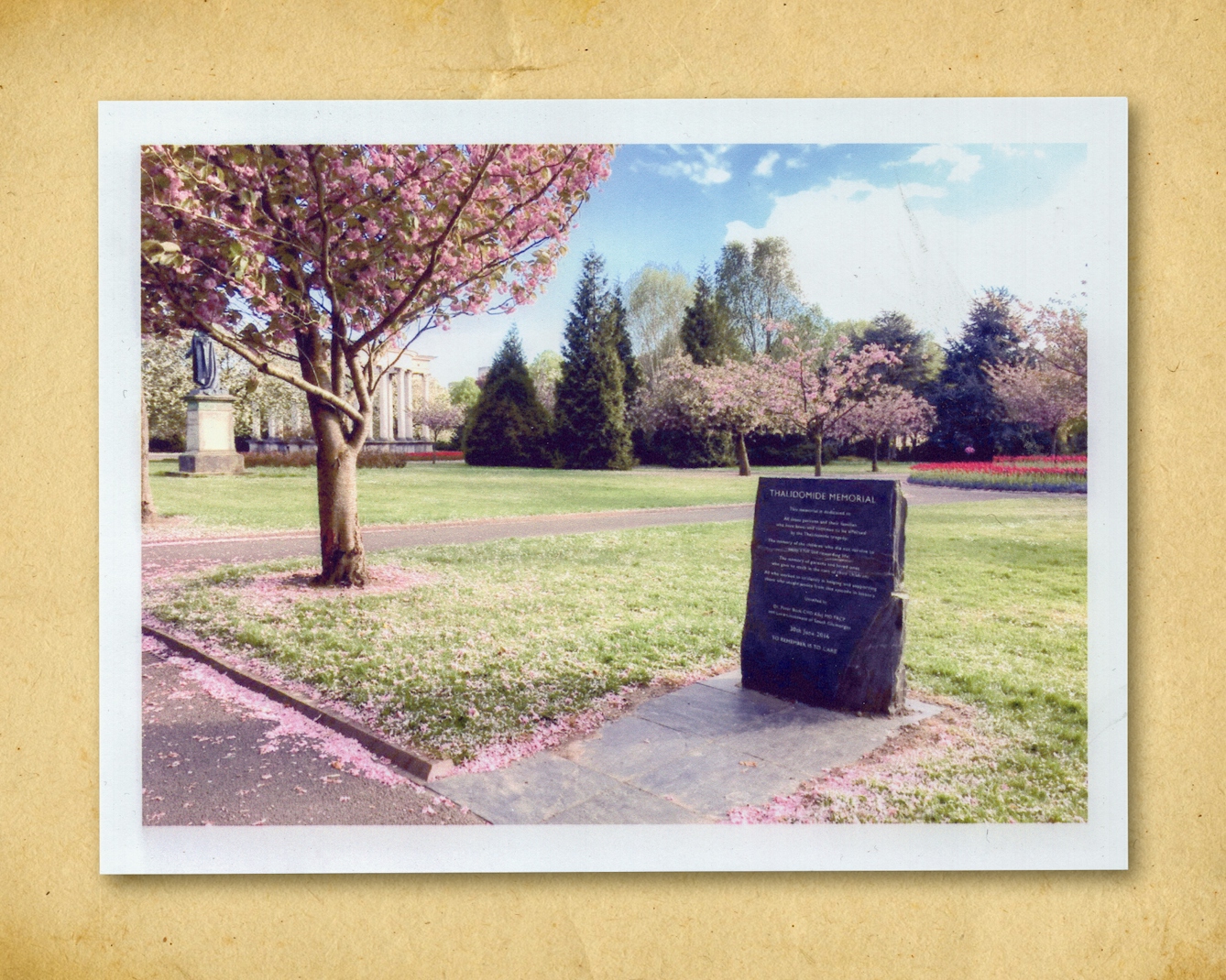 Photograph of a colour photographic inkjet print, resting on a brown paper textured background. The print shows a memorial stone in a parkland. It is surrounded by grass and a tree in blossom, whose petals have begun to fall and cover the ground. In the background are trees, a statue and a columned building. The title of the memorial can just be read, showing the words, 'Thalidomide Memorial'.