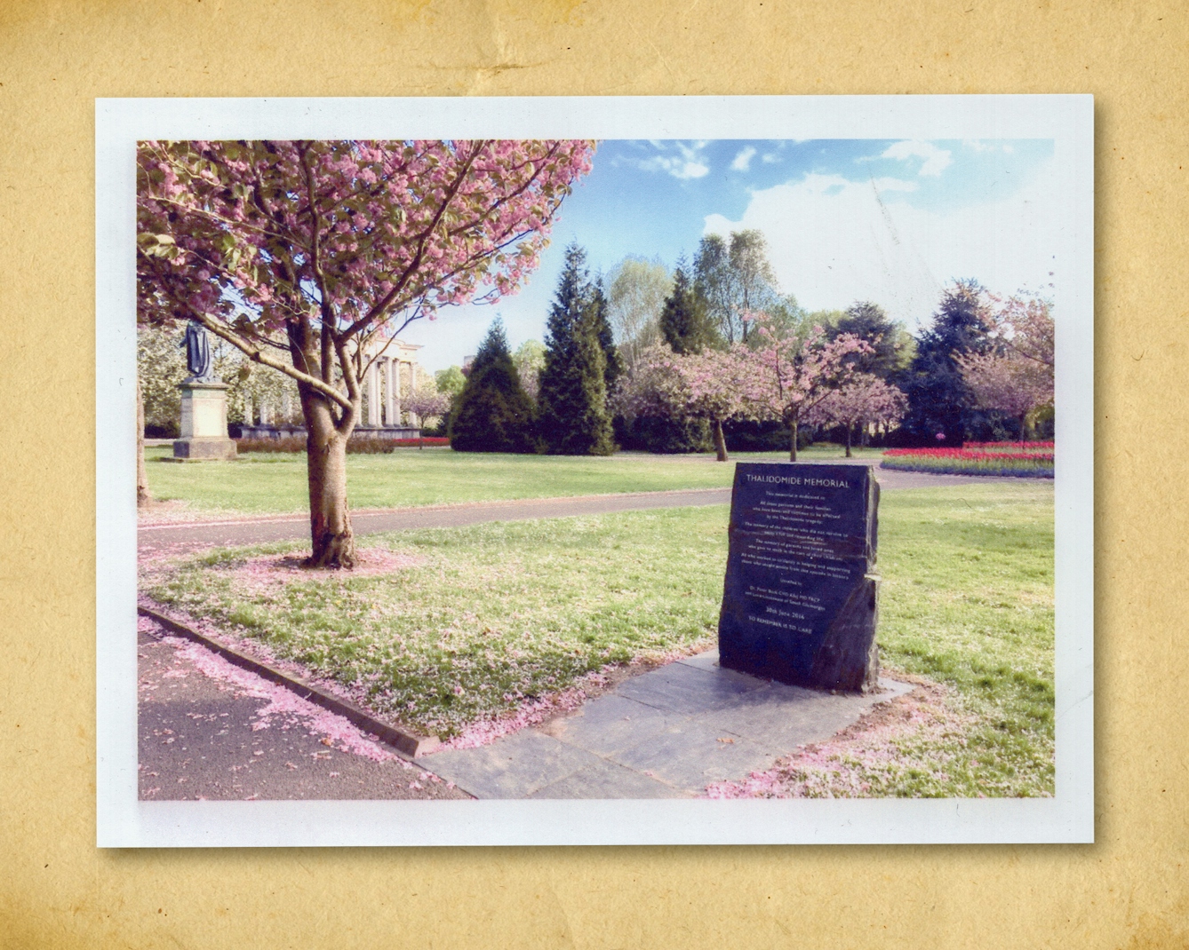 Photograph of a colour photographic inkjet print, resting on a brown paper textured background. The print shows a memorial stone in a parkland. It is surrounded by grass and a tree in blossom, whose petals have begun to fall and cover the ground. In the background are trees, a statue and a columned building. The title of the memorial can just be read, showing the words, 'Thalidomide Memorial'.