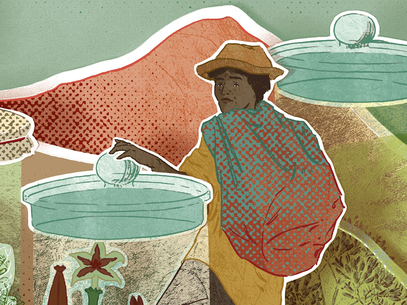 Crop of a photograph of a papercut 3D artwork. A man wearing a hat is shown standing between six large glass jars, each containing a different kind of plant. There are red mountains in the background. 
