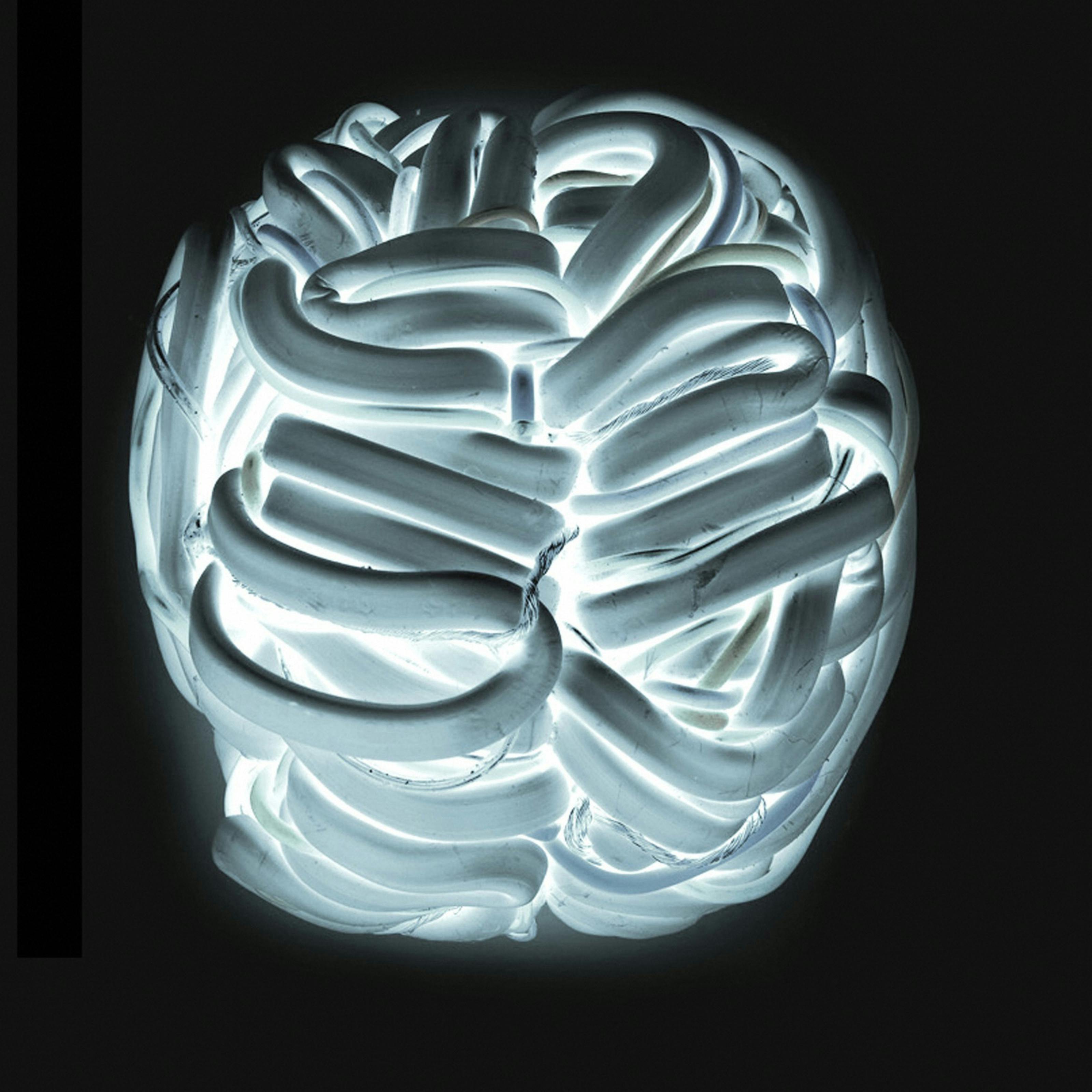 Wires covered in a white polymer twisting and turning to form an artistic representation of the brain