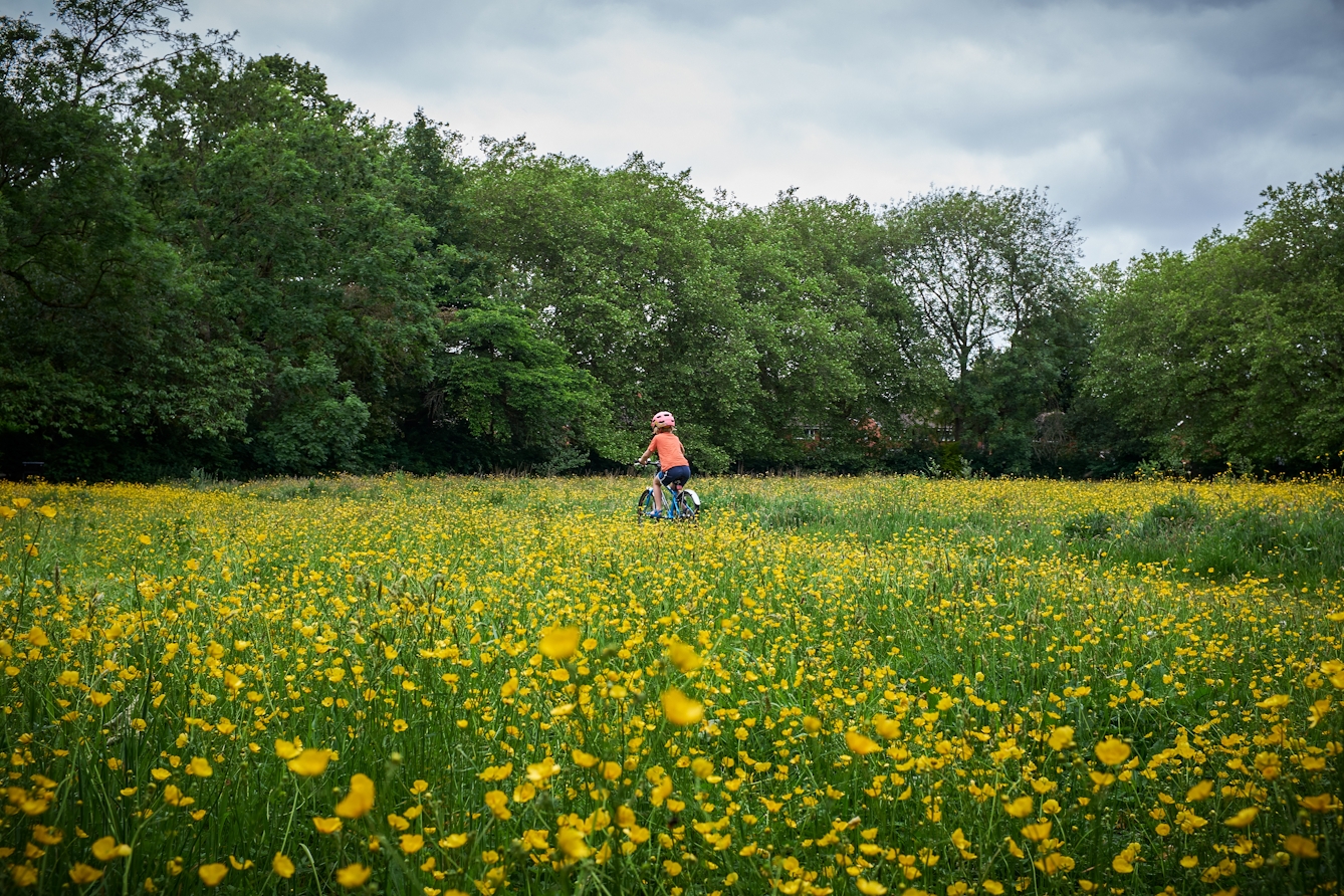 Photograph of a young child riding a bike through a field of buttercups. They are wearing an orange t-shirt, blue shorts and a pink helmet. There are some trees in the background. 