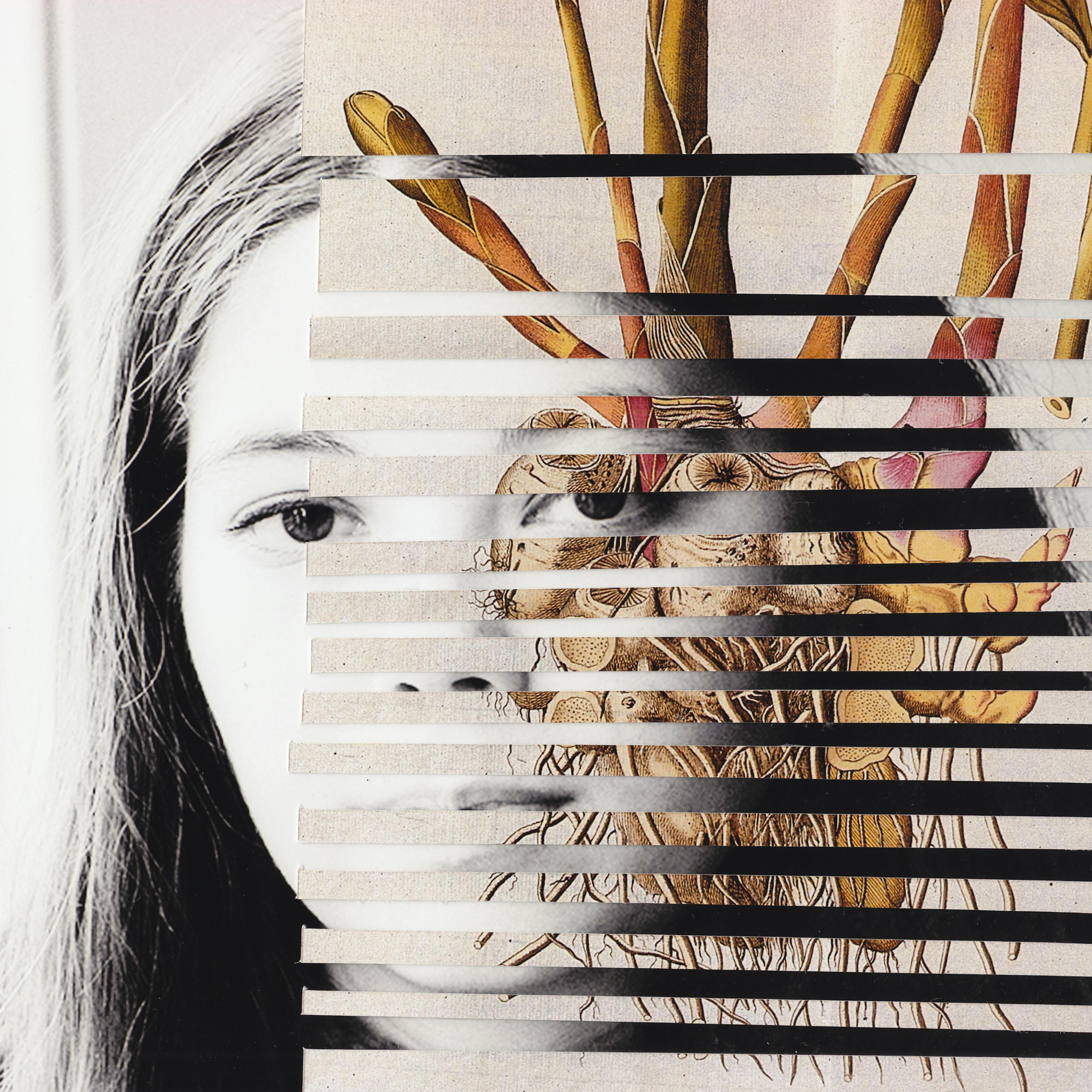 Mixed media collage artwork using a combination of photographic prints and archival illustrations. The background of the collage is made up of a black and white photograph of the head of a young woman with long dark hair. She is looking to camera with a neutral expression on her face. Overlaid on top of her portrait are horizontal strips of a colour illustration showing a botanical drawing of a ginger plant, showing the stems and roots. The horizontal strips are spaced out such that the portrait beneath can be seen through the gaps.