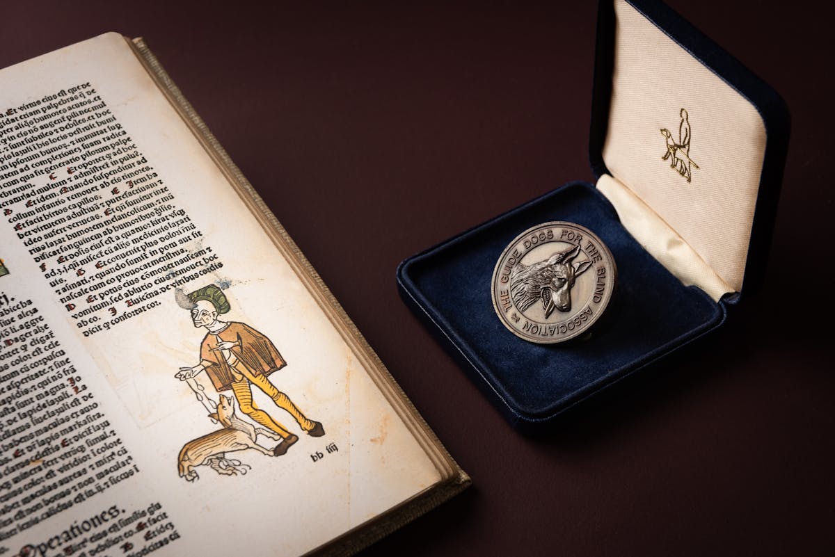 A photograph showing part of a medieval book on the left had-side of the image featuring Latin text and a figure of a man wearing a cape, tunic and a feathered hat. He is holding a dog on a lead, and the illustration is coloured green, brown and yellow.  On the right-hand side of the image is a medallion with The Guide Dogs For The Blind Association engraved around the outside, and an alsation dog’s head engraved in the middle. The medallion is sitting in a royal blue box lined with blue velvet. The inside of the lid is lined with a cream coloured material on which the black outline of a guide dog and guide dog handler is stitched. The items appear on a plain brown background.