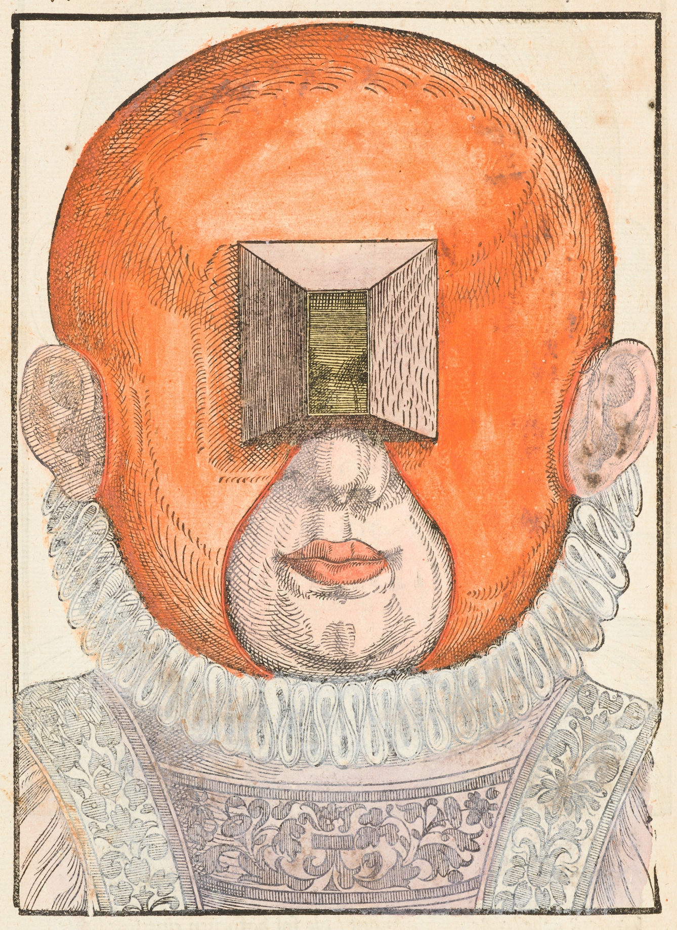 Coloured engraving from a 16th century book showing a person's head and neck ruff. On their head is a red mask which has small box like construction in front of their eyes and larger holes exposing their ears, nose and mouth.
