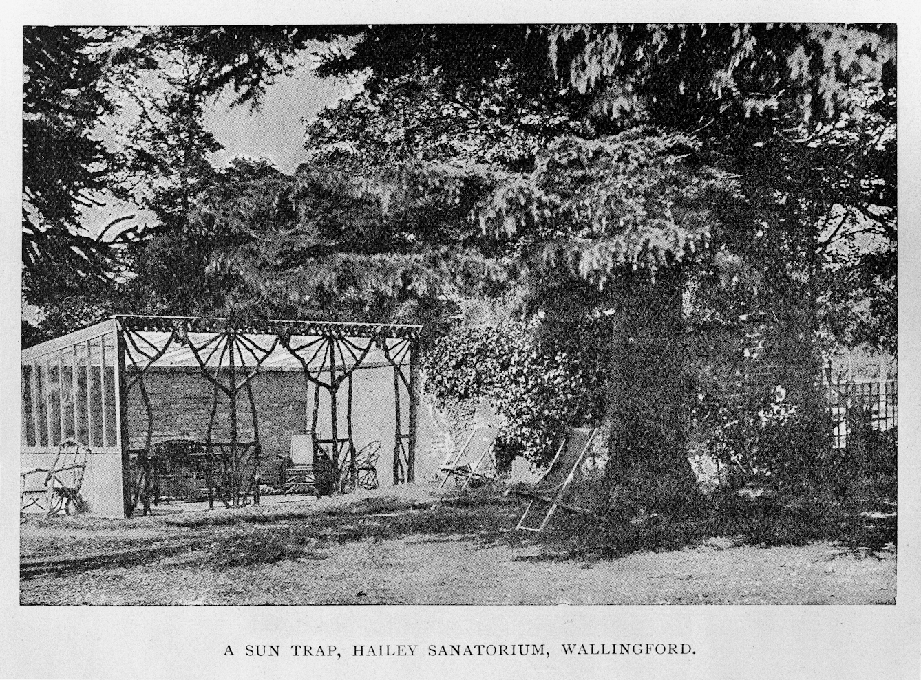 Photograph of a 'sun trap' in a sanitorium: a lightweight outdoor structure with an open front, and seating inside, next to a large tree.