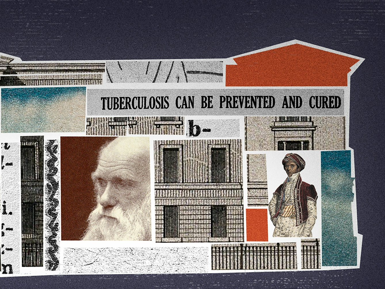 Crop from a larger digital collage. Shown is a building, labelled 'North London Hospital'. The building's interior is filled with different collage elements, including newspaper cut-outs reading 'Tuberculosis can be prevented and cured', 'Tuberculosis must go!' and 'Eugenics'. There is an image of a sphygmograph, and an image showing physiognomy. There are photos of Charles Darwin, Francis Galton and Sake Dean. There are orange and turquoise rectangles in the interior, and an orange path leading out of the building's front door.