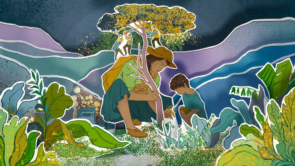 Photograph of a papercut 3D artwork. The layered scene shows a woman wearing a hat crouched down under a small tree, showing a small delicate plant to her young son who is also crouching down. They are surrounded by a Peruvian landscape of foliage and recessing silhouetted hillsides. Small abstract figures are standing on the woman's back and head wielding axes and chain saws, about to cut down the tree above her. On the ground behind her is a logging trunk packed full of felled tree trunks. The overall hues are blues, greens, purples and mauves.