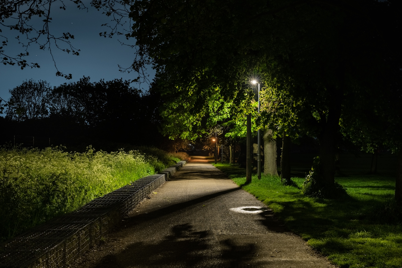 A photograph of a park at night, looking down a long pathway which is illuminated by street lights. The light shines on the leaves of surrounding trees as well as the wild hedgerow opposite.