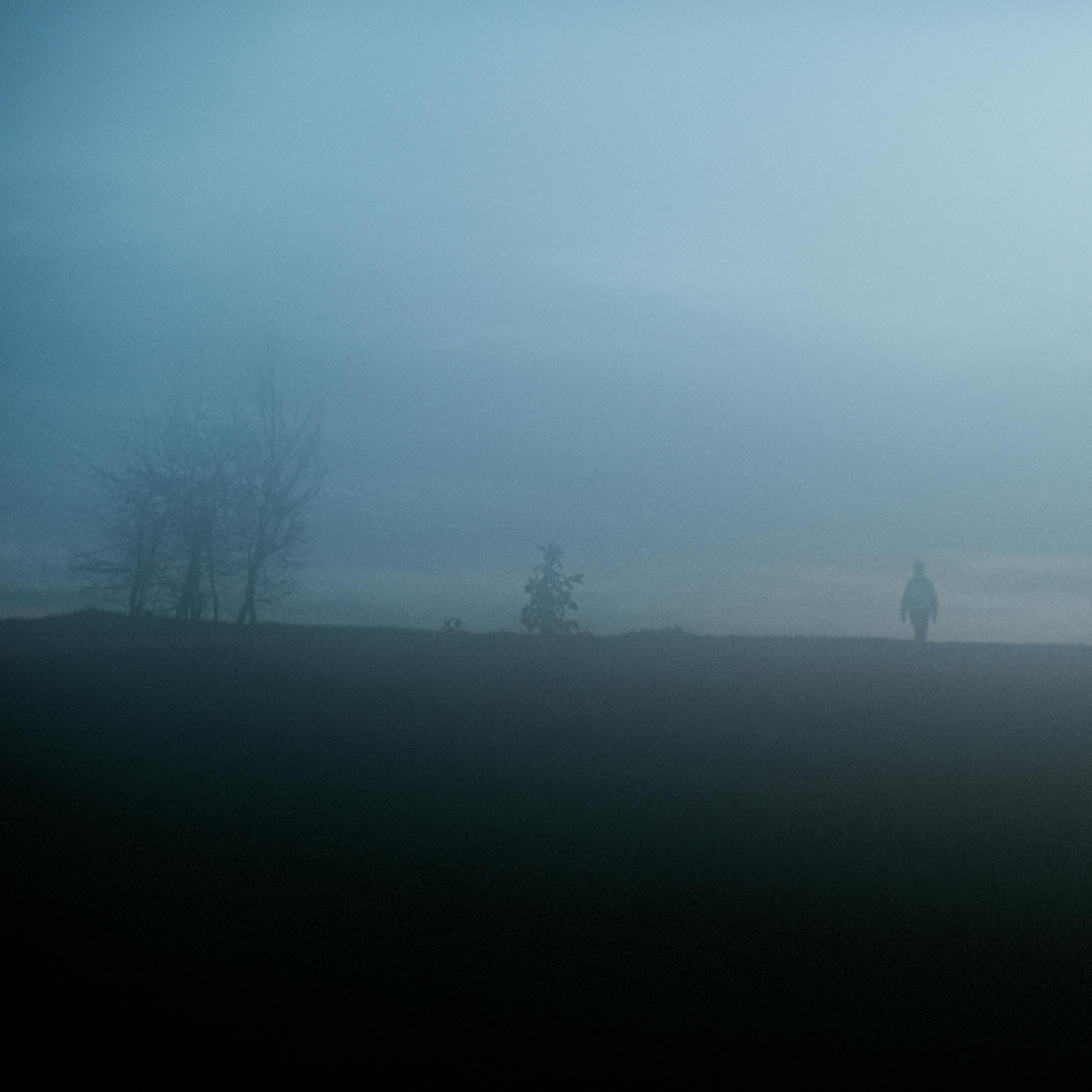 Photograph of a foggy park scene with a horizon line cutting horizontally through the landscape. Above the horizon line is a blue hued cloud ladened sky, grainy and misty. Below the horizon line is the dark green of the parkland grass. rising up from the horizon in silhouette are the shapes of trees, a park bench and a solitary figure of a person.