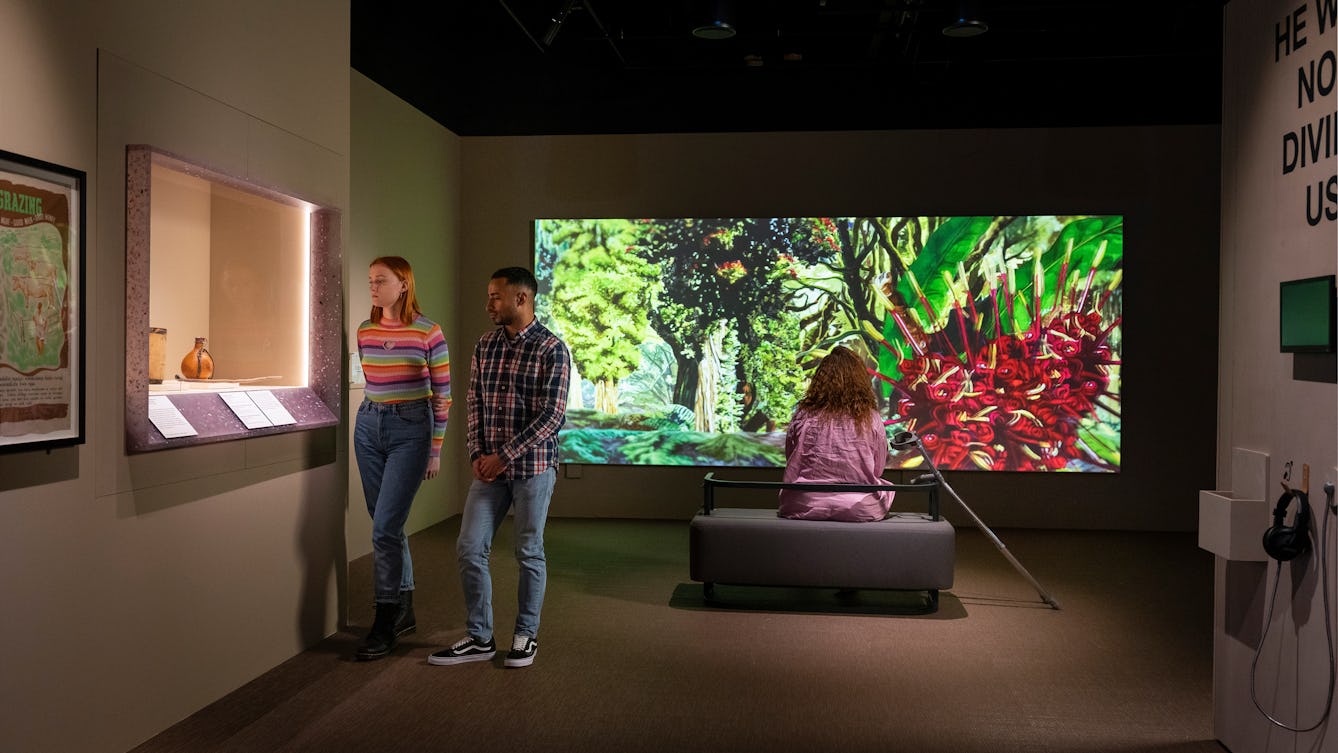 Two exhibition visitors looking at objects in an exhibition space. The visitors are looking at objects displayed behind glass. Behind them a visitor is sitting watching a film which is being projected on the wall.