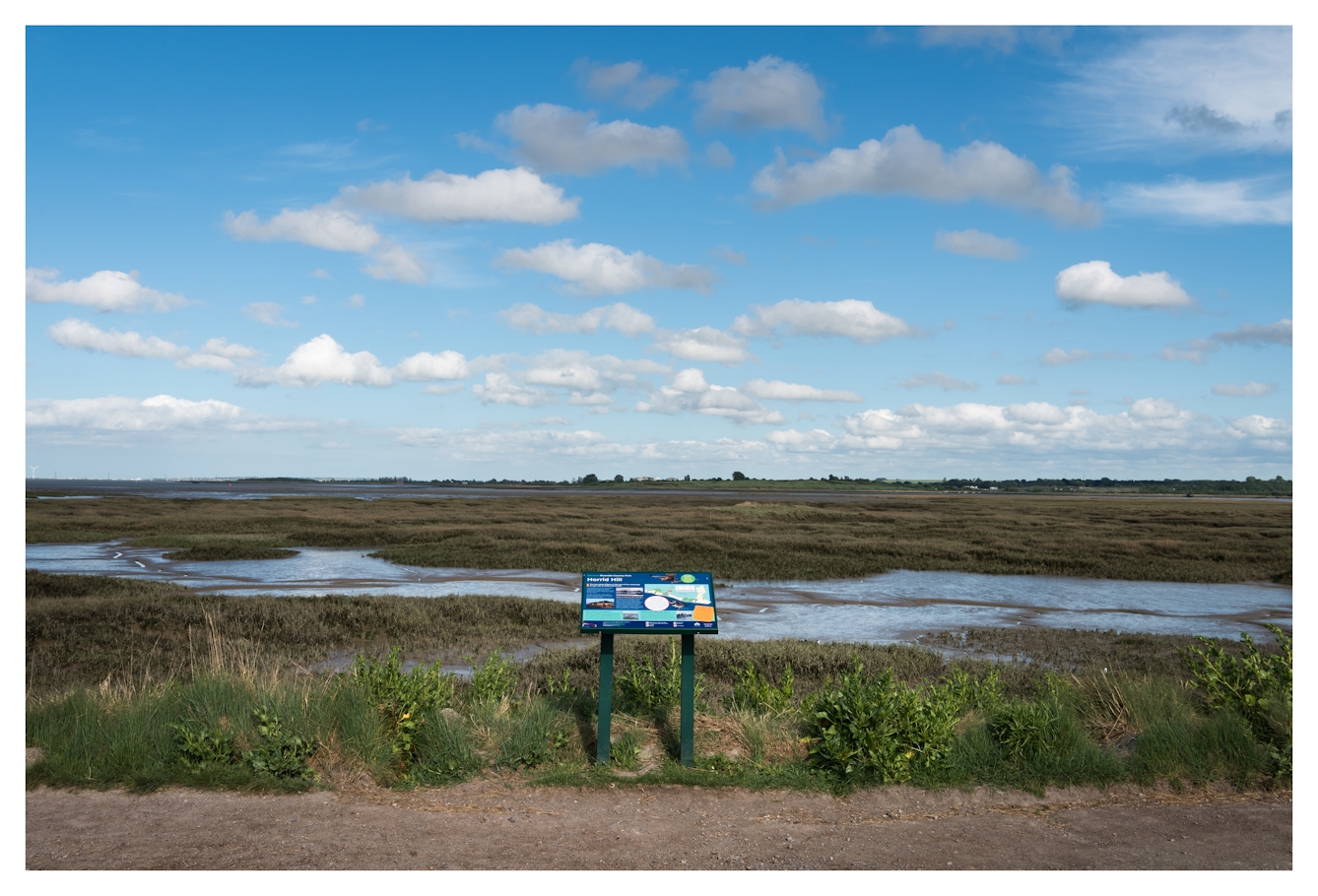 Colour photograph of an expanse of grass and wetland in an estuary country park setting. In the middle distance are meandering shallow mud and water flats. In the centre of the image is a small wooden board on two posts with a large blue and white illustrated information sheet attached to it, showing a map and local wildlife information.