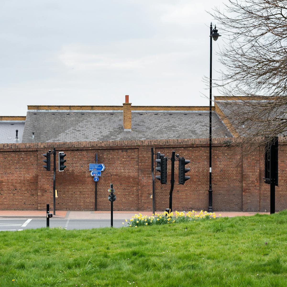 Photograph of a high redbrick wall running from left to right, in front of which is an empty road and a crossing with traffic lights and road signs. At the bottom of the image is a grass verge with a small crop of bright yellow daffodils.