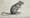 Etching of a black rat by Samuel Howitt