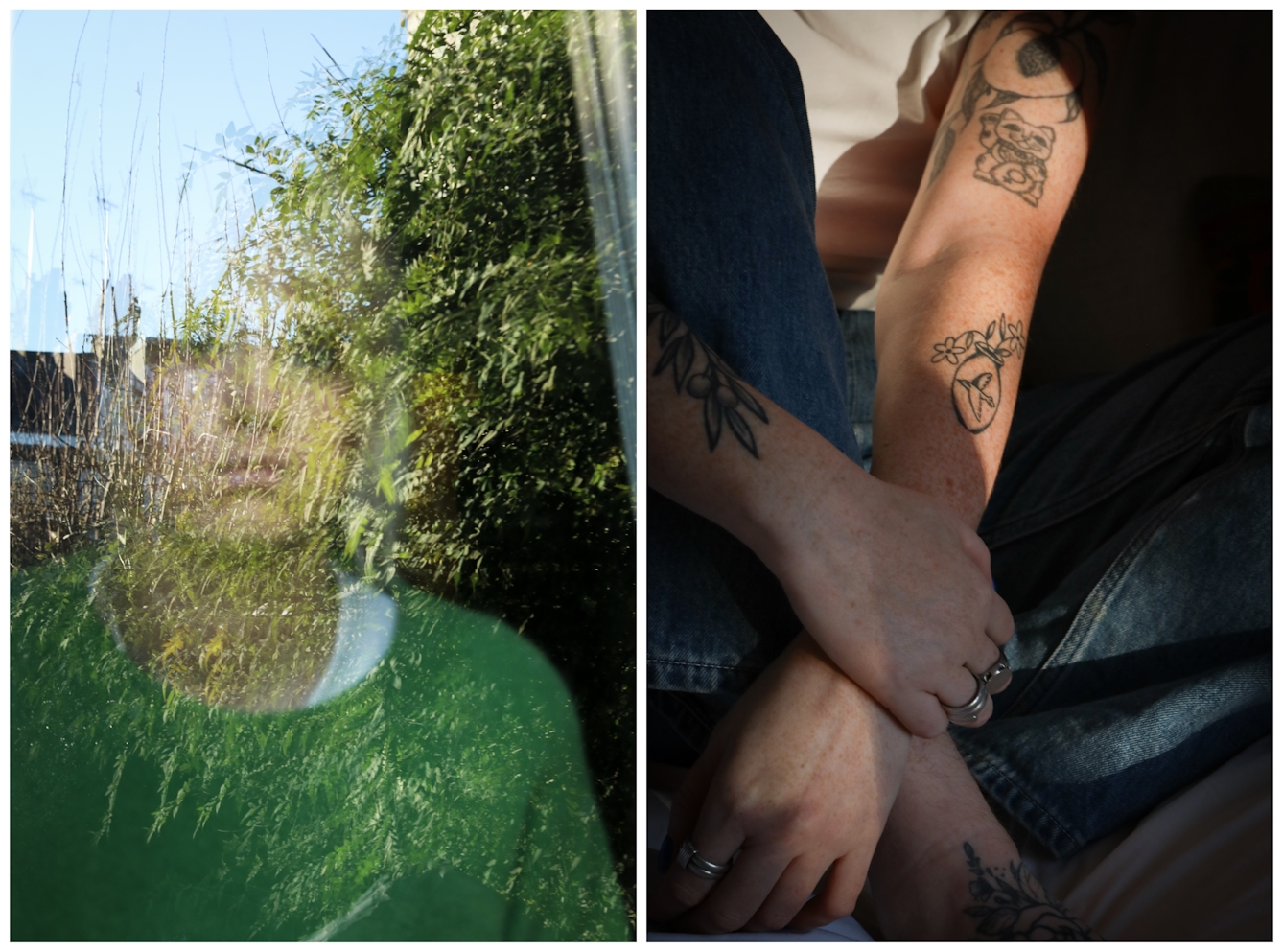 Photographic diptych. The image on the left show a young woman in a green jumper looking out from behind the glass of a window. Her face and shoulders are disrupted and fragmented by the reflection on the glass of the outside space which shows green leaves, trees, the rooftops of other houses and a blue sky. The image on the right shows the same young woman, but this time she is sat indoor and we can just see her bare arms clasped around her raised legs. Her arms and feet show several tattoos, deputising birds and flowers.