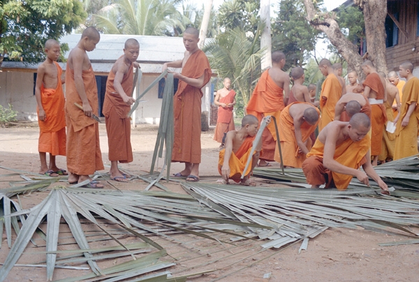 Novice Buddhist monks in orange robes cutting and sorting dried palm leaves for palm leaf manuscripts, Vat Manolom, Luang Prabang. Laos