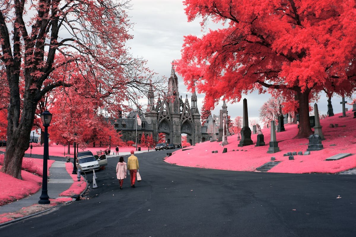 Infrared photograph of the entrance to Green-Wood Cemetery. In the bottom left portion of the image two people are walking towards the Neo-Gothic entrance to Green Wood Cemetary. The road has a series of parked cars of which one has a door open. To the right of the frame there is a large tree towering over several grave stones. The pink hues replacing the greens of the grass and trees are a result of the infrared technique.