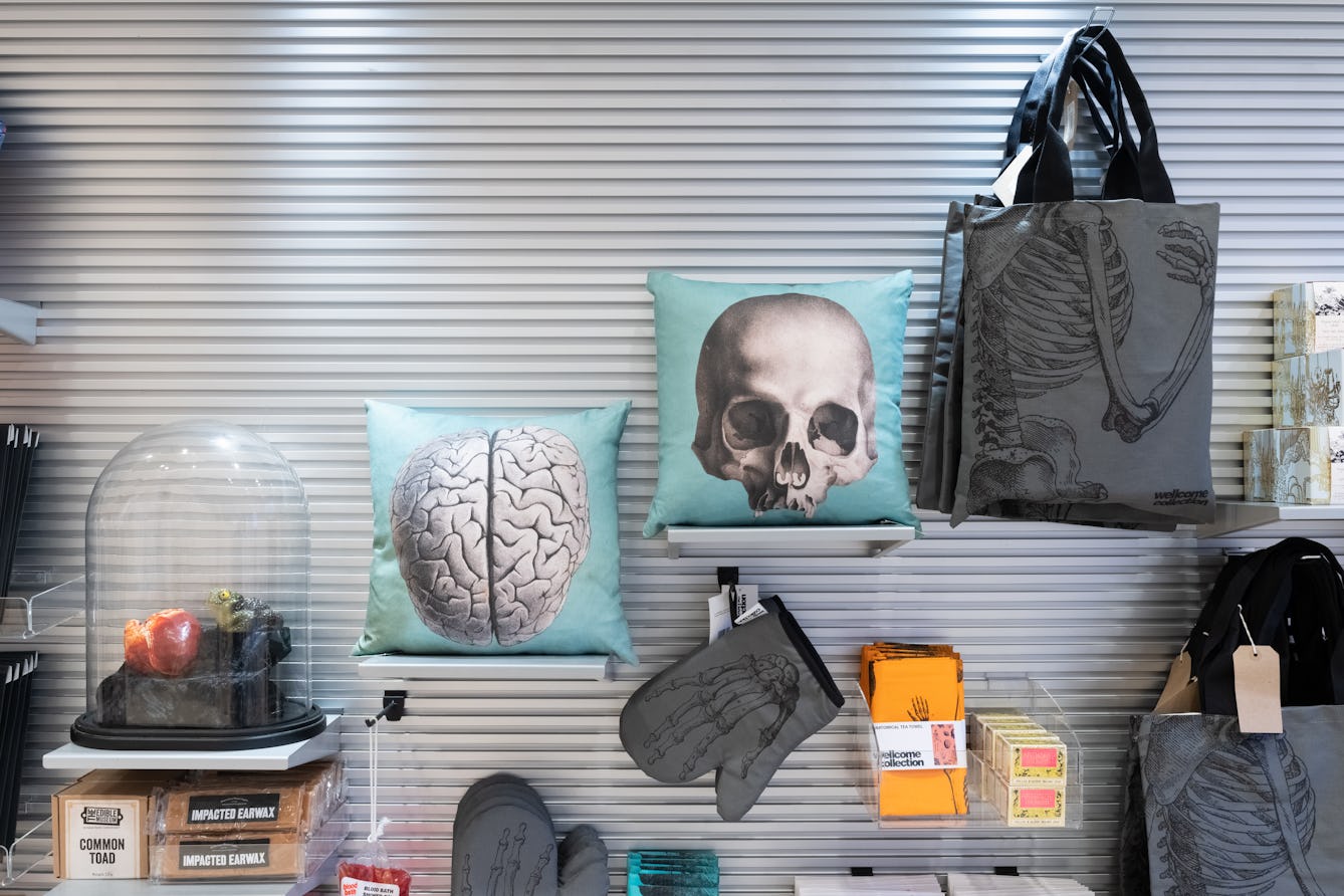 A series of small shelves on a wall rising in steps from left to right. On the shelves are gifts and merchandise: a terrarium containing models of human organs; a pillow with the image of a brain and a pillow with the image of a skull; a tote bag with the image of a skeleton. Tea towels and oven gloves in the space below the shelves.