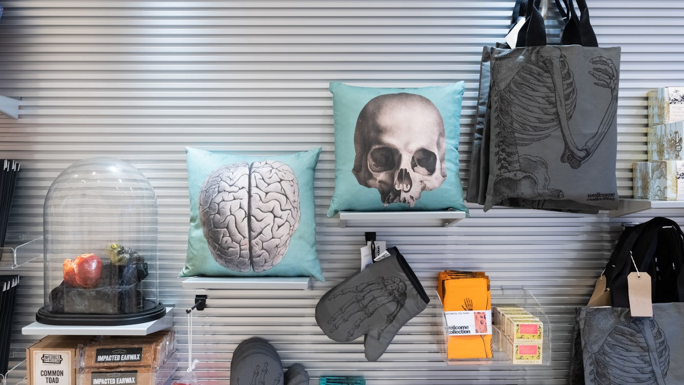 A series of small shelves on a wall rising in steps from left to right. On the shelves are gifts and merchandise: a terrarium containing models of human organs; a pillow with the image of a brain and a pillow with the image of a skull; a tote bag with the image of a skeleton. Tea towels and oven gloves in the space below the shelves.