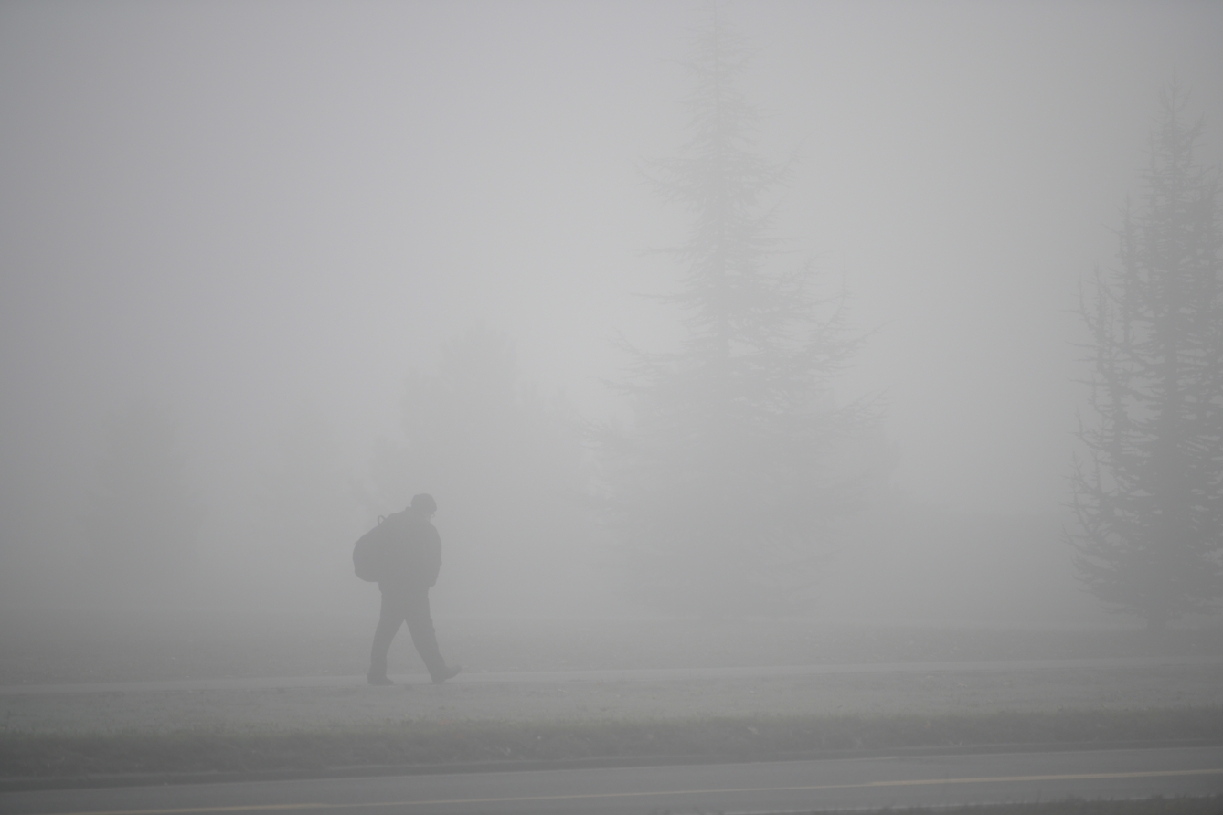 Photograph of a man with a rucksack walking on a road. His back is turned and he is looking down whilst walking. In the background are some fir trees, enveloped by mist and fog.
