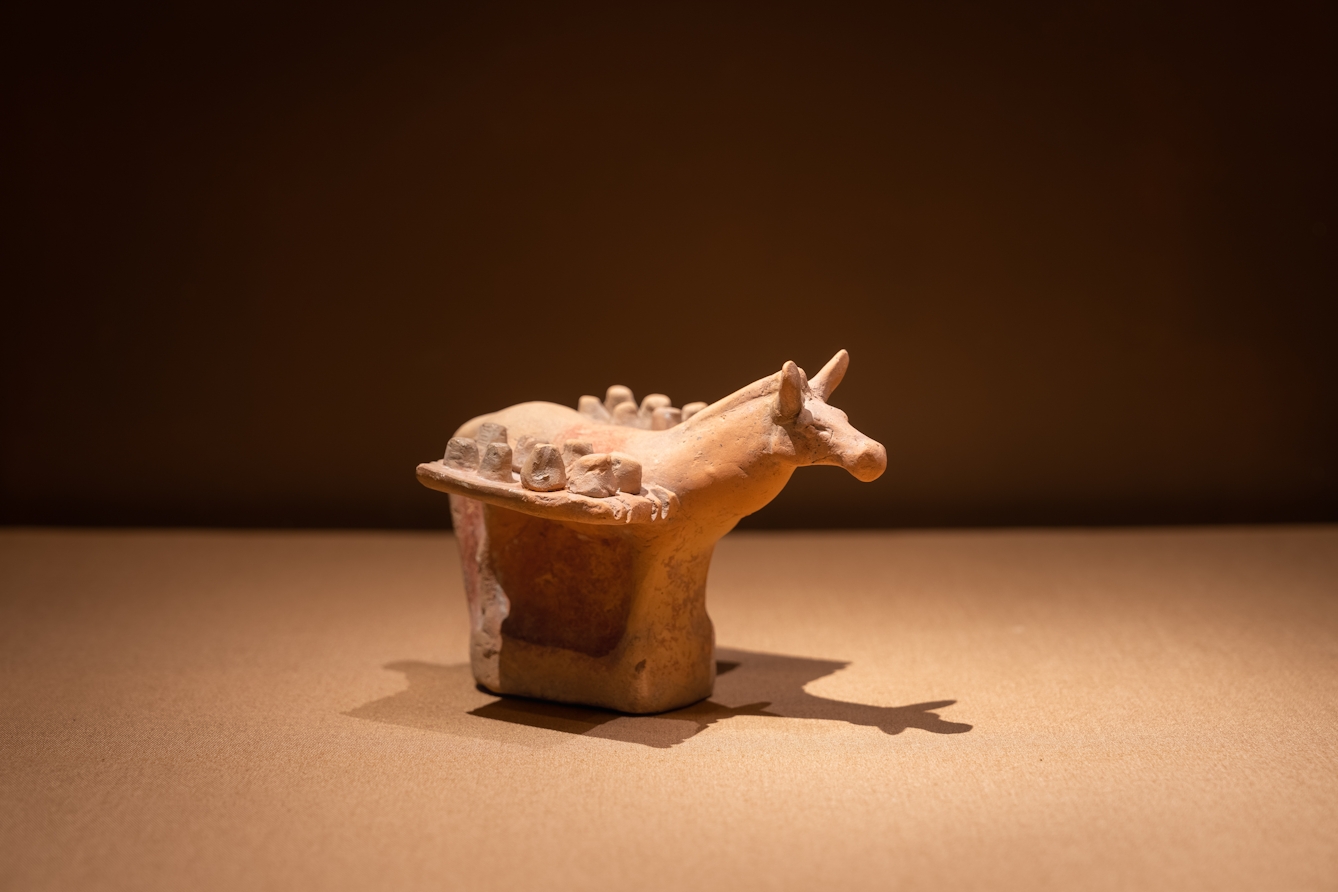Photograph of a small terracotta model of a mule carrying two trays loaded with cheeses from the 3rd or 2nd century BC. The mule is placed inside a display case which brown hues similar the mules colouring. It is bathed in a spotlight.