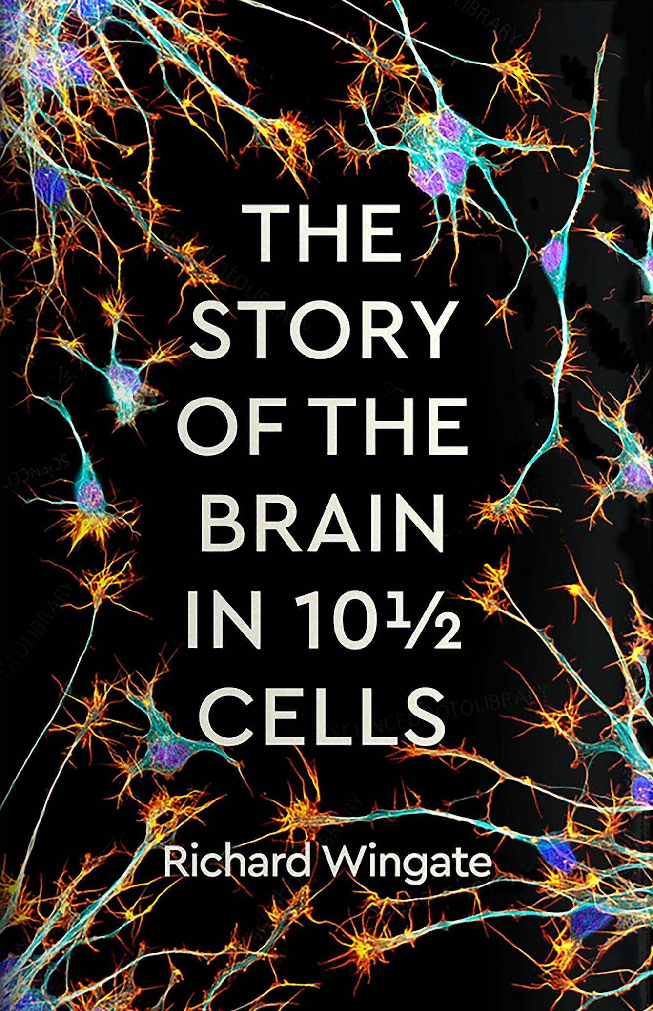 Book cover of The Story of the Brain in 10 ½ Cells by Richard Wingate