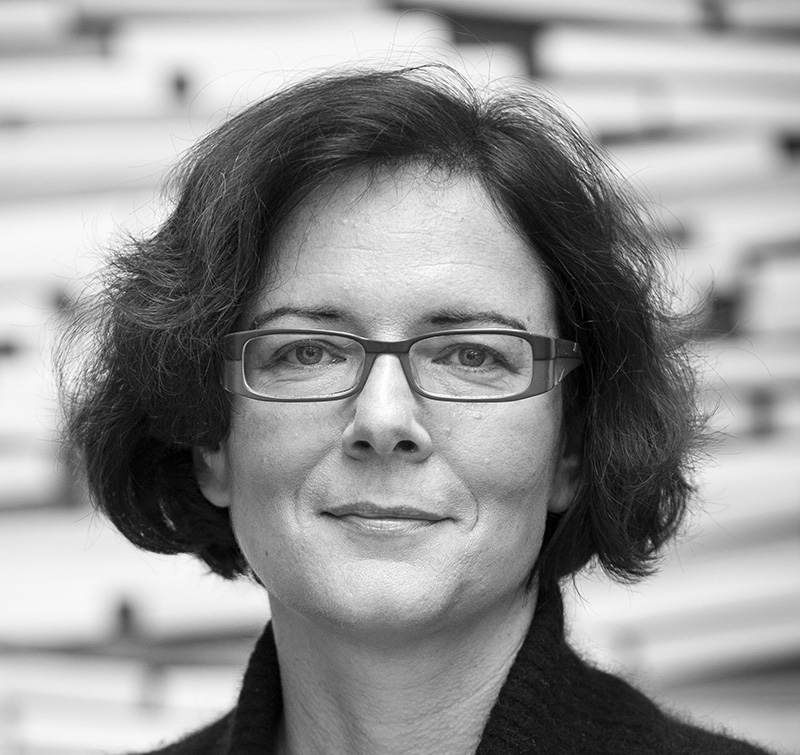 Headshot photograph of Professor Havi