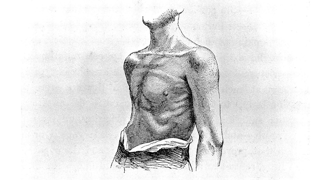 Black and white digitised drawing of a man's bare chest and torso. 